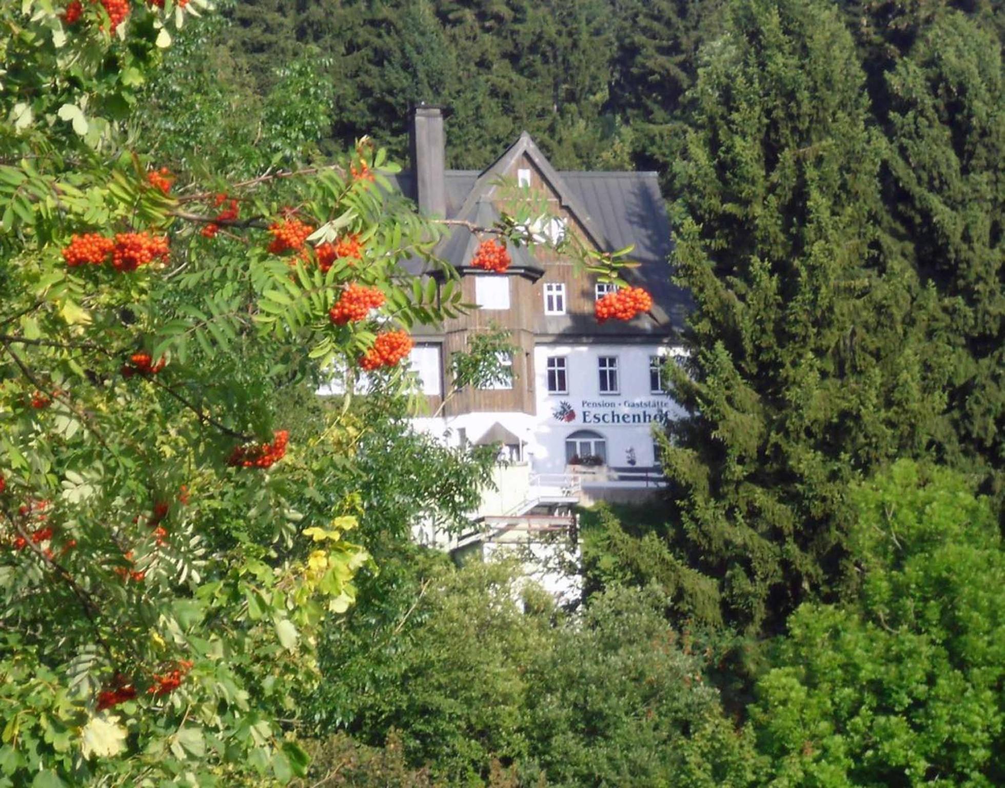 Pension und Gaststätte Naturbaude Eschenhof Oberwiesenthal Exterior foto